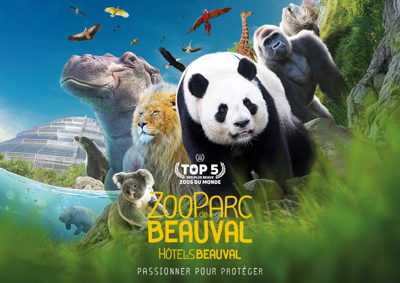 Studio Paon D'Or, 5 Minutes Du Zooparc De Beauval Saint-Aignan  Exterior photo